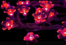 Подробнее о Цветки сакуры, 10 м, красная, 100 диодов cветодиодная гирлянда 