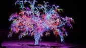 Подробнее о Гирлянда на деревья шаг 150мм, разноцветные (мульти) диоды, с трансформатором LED Клип Лайт, 