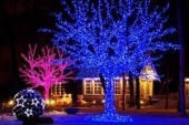 Подробнее о Гирлянда на деревья шаг 150мм, синий, с трансформатором LED Клип Лайт, 