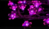 Подробнее о Цветки сакуры, 10 м, розовая, 100 диодов светодиодная гирлянда